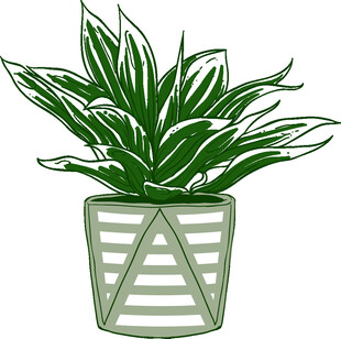 简约风绿植盆栽插画