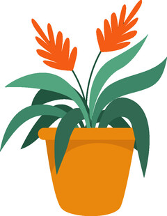 橙色花盆中的艳丽花卉