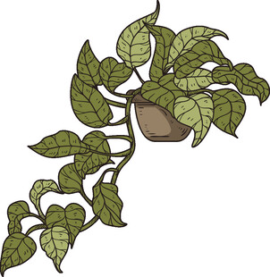 藤蔓绿植装饰图案