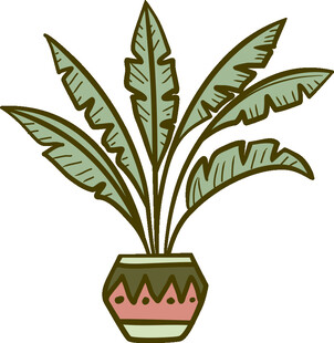 盆栽植物插画