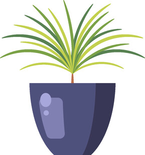 盆栽植物插画
