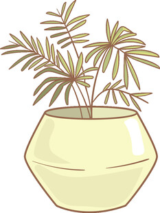 盆栽植物插画