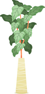 室内绿植龟背竹装饰摆件
