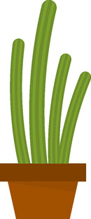 盆栽仙人掌