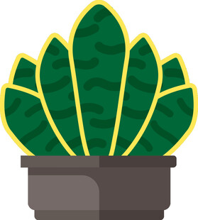 盆栽多肉植物插画