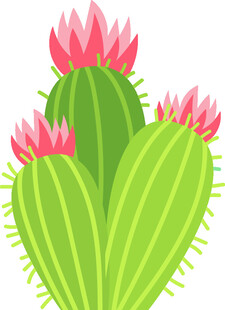 盛开的仙人掌花朵插画