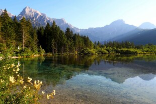 湖畔山林美景