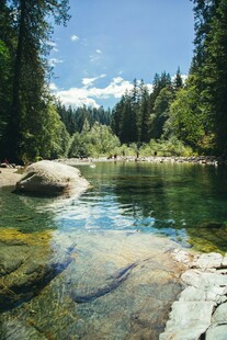 山间清澈溪流风景如画