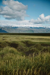 草原风光与远处雪山美景