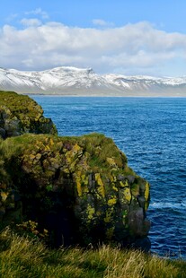 海边覆绿苔岩石与远山海景