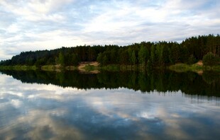 宁静湖畔森林倒影美景
