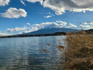 湖畔富士山美景