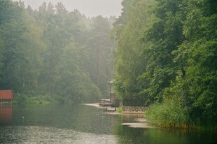 林间河畔静谧风光