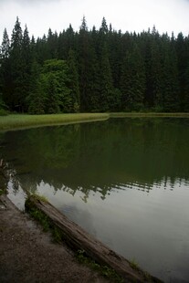 宁静山林中的静谧湖水