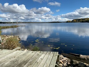 湖畔木栈 静谧湖景风光
