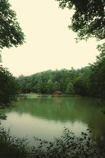 宁静湖畔绿意盎然的景致