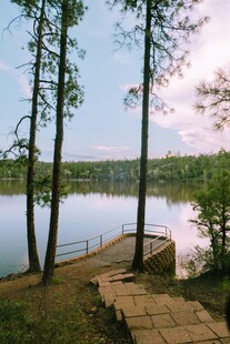 湖畔美景 宁静的自然风光