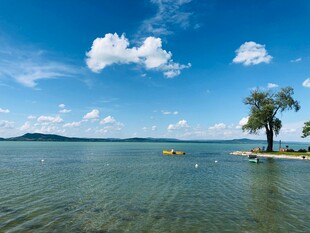 湖畔美景 绿树蓝天碧水