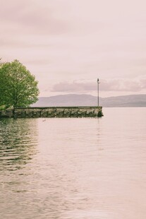 湖畔孤树 宁静水面风光