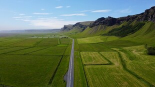 绿野中的蜿蜒公路