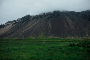 云雾缭绕下的山与绿草地