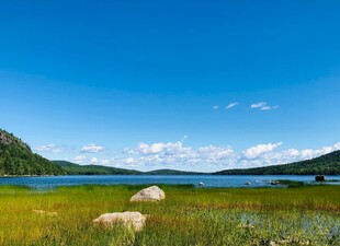 湖畔绿野蓝天美丽风光