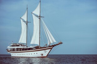 海上双桅帆船航行景象