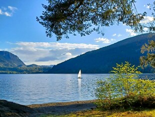 湖畔风光 一叶白帆映蓝天