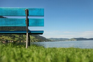 湖畔长椅 畅享自然美景