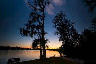 湖畔黄昏树影静谧美景