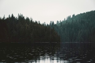 宁静山林旁的静谧湖水