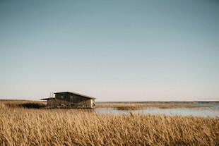 田野中的孤独小屋