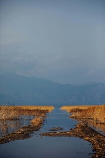 宁静河道边的秋日风光