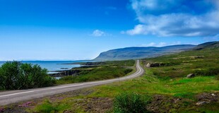 蜿蜒公路旁的美丽自然景观
