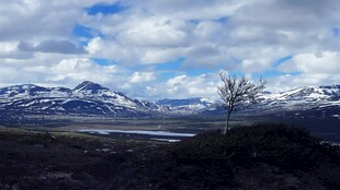 雪山旷野风景图