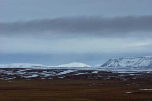 雪山远景下的开阔原野