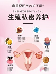 生殖私密养护 