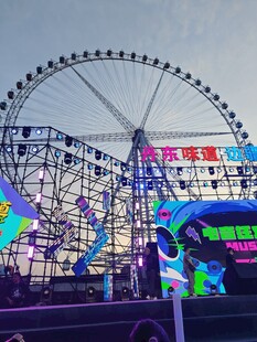 夜幕下的绚丽摩天轮