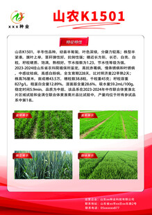 麦种宣传彩页反面