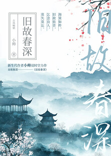 小说封面