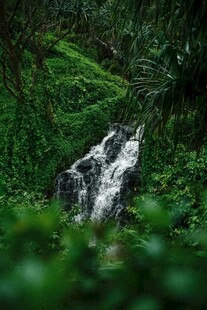 山林间的潺潺小瀑布
