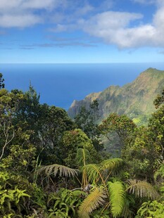 山林间的壮阔海景