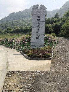 PS园林景观草坪