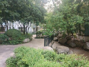 园林小径绿植环绕景致美