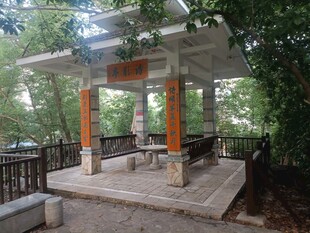 林中凉亭古朴景致