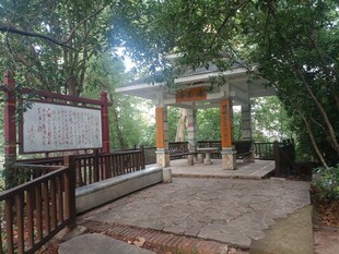 公园中的凉亭与告示牌