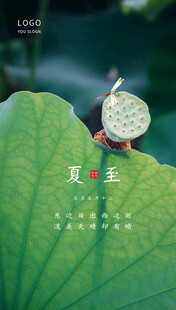 荷叶上的精致昆虫摆件
