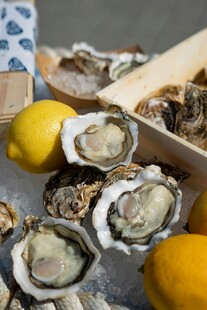 新鲜生蚝搭配柠檬