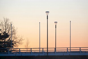 黄昏下的路灯与树木景观