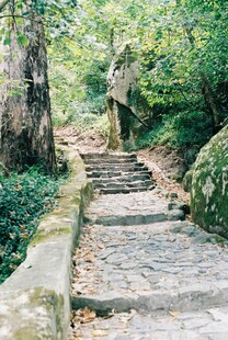 山间石阶小径 自然景致